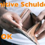 Vorschaubild-Kognitive Schulden
